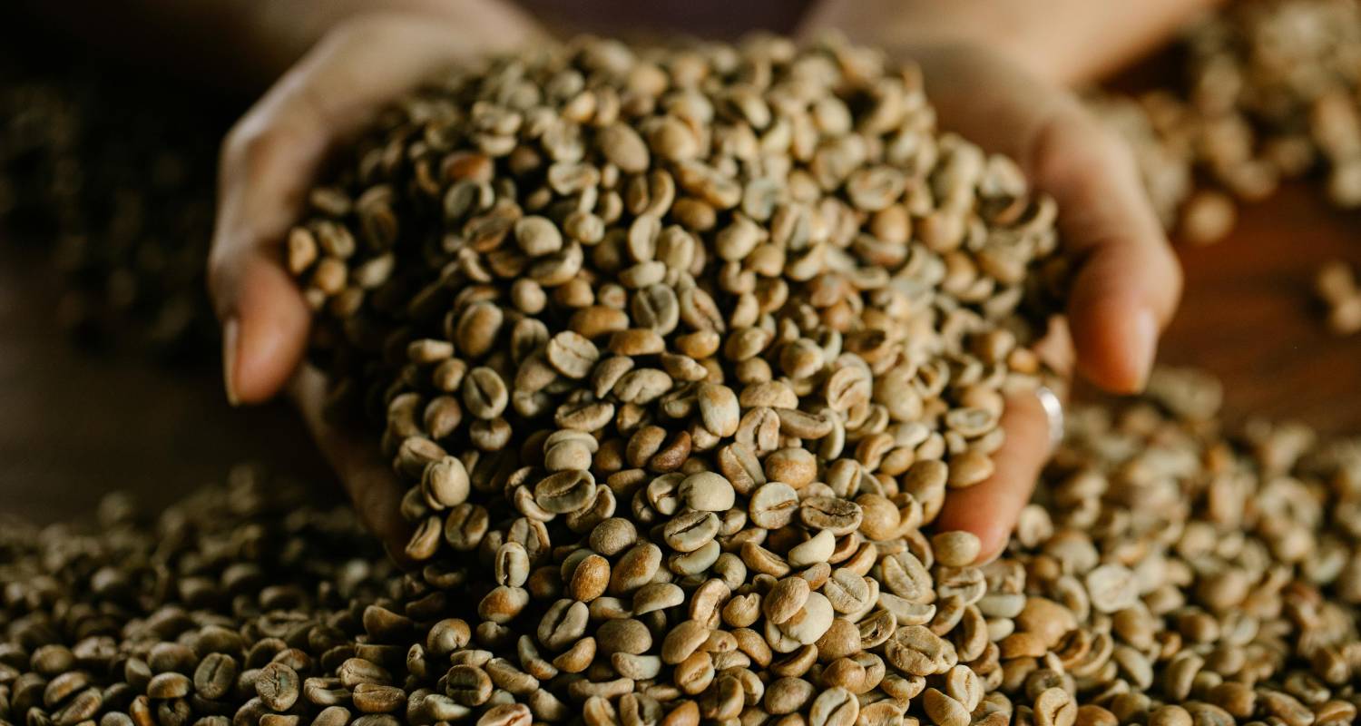 Why Small-Batch Coffee Roasting Makes a Big Flavor Difference