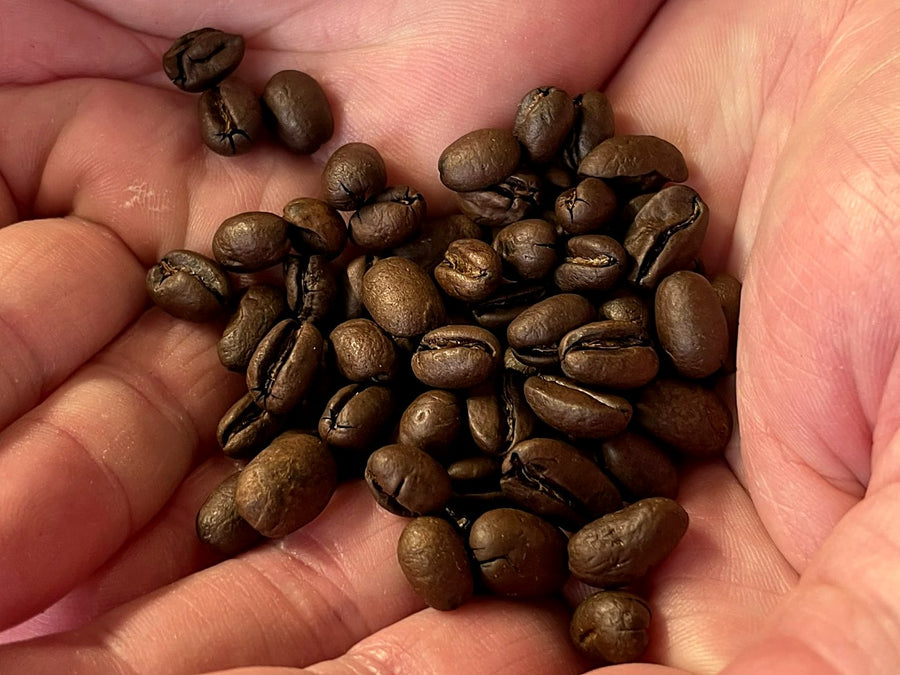 Roasted Wanaʻao 100% Kona Peaberry beans in hand